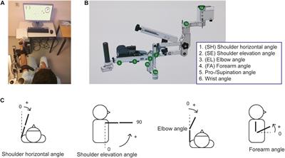 Dissociating Sensorimotor Recovery and Compensation During Exoskeleton Training Following Stroke